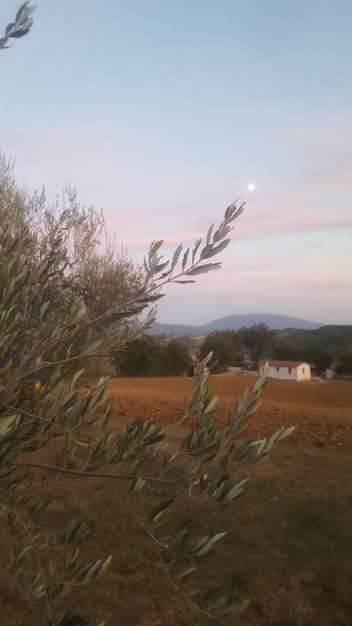 Agriturismo Villalta Ponte Felcino Exterior foto